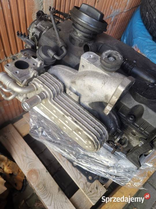 Silnik 19 tdi 105 Silniki kompletne Łódź