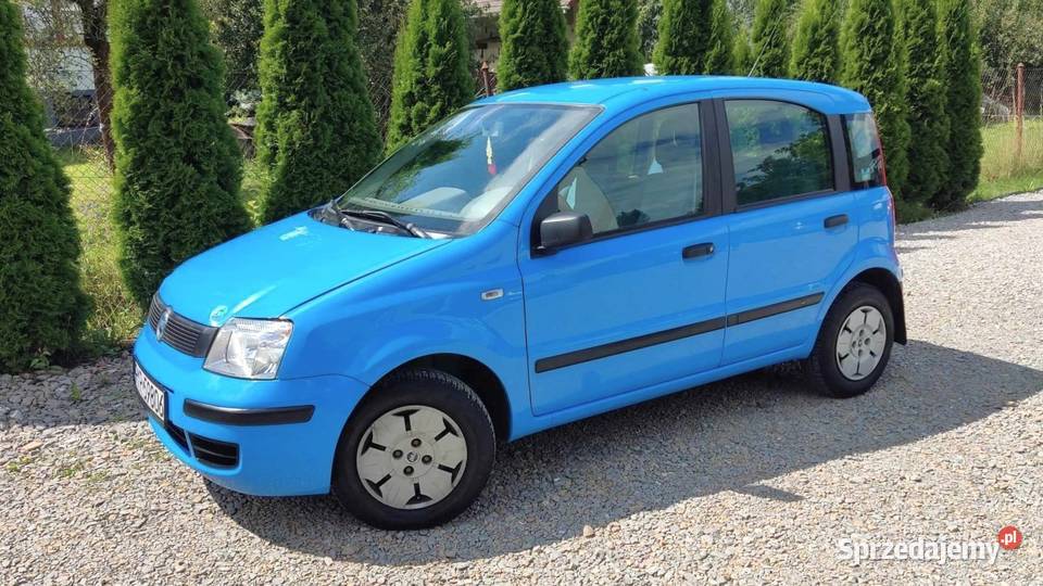 Fiat Panda 2004r 11 Benzyna Ekonomiczna Salon Rok produkcji 2005