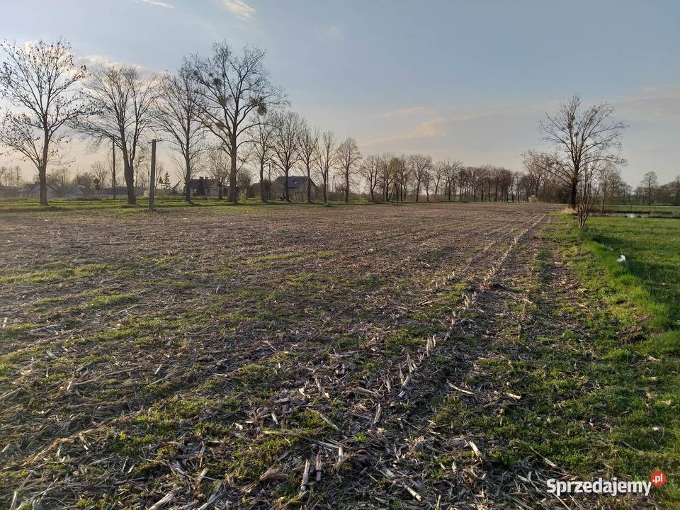 Działka budowlana w świetnej lokalizacji Zieleniec