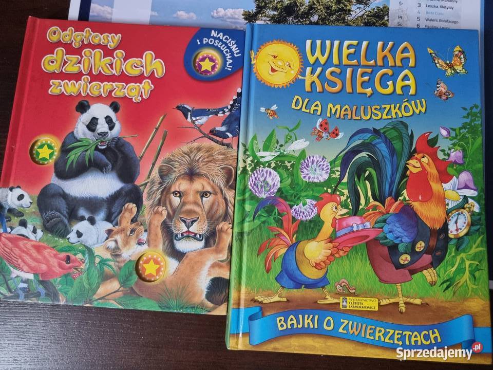 Książki dzieci i zabawy edukacyjne śląskie Chorzów