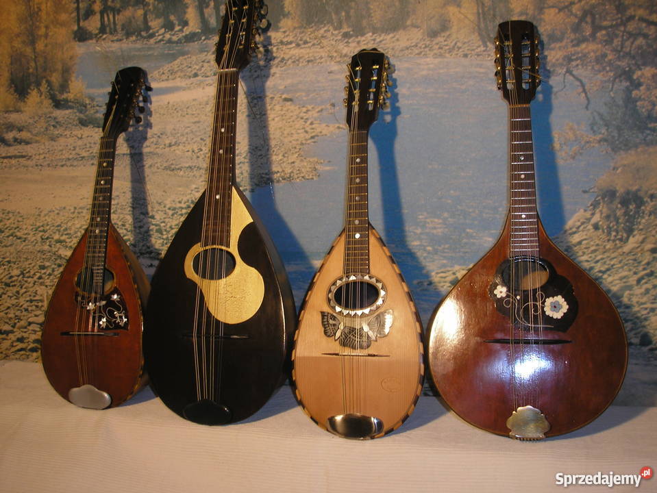 Mandola mandolina tenorowa Ilość strun 4 mazowieckie Otwock