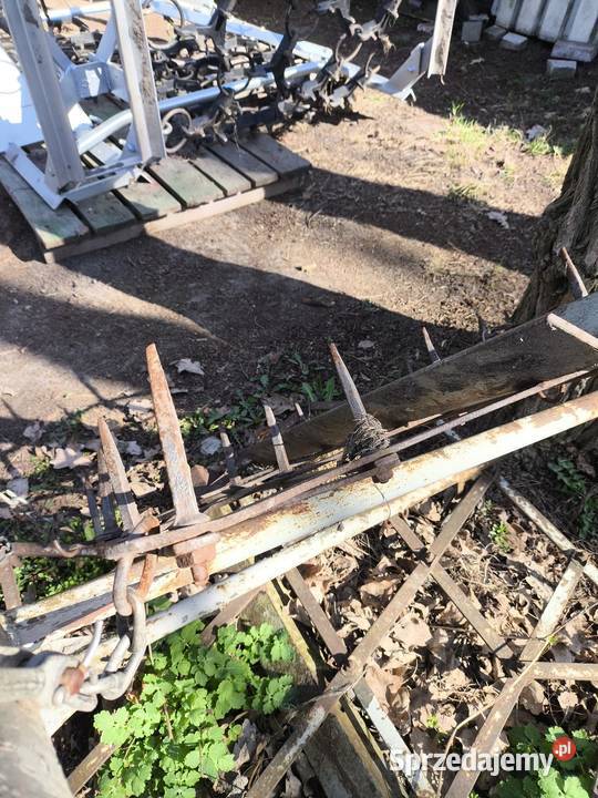 Brony Bronki 4m włóka łódzkie Bełchów sprzedam