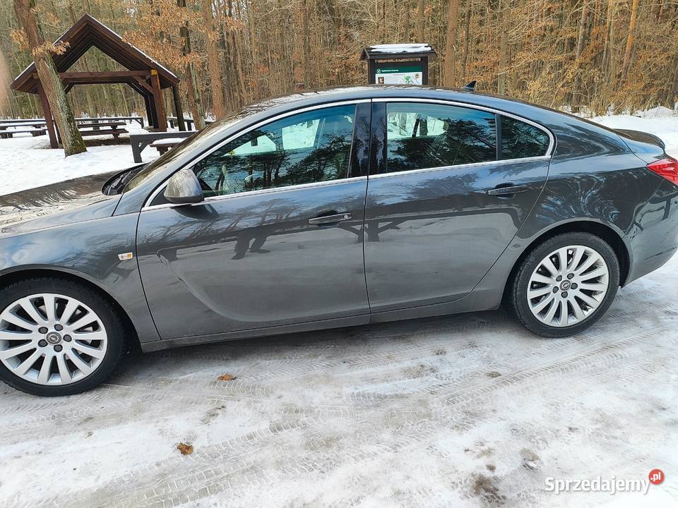 OPEL Insignia A 20Cdti tempomat Brzóza