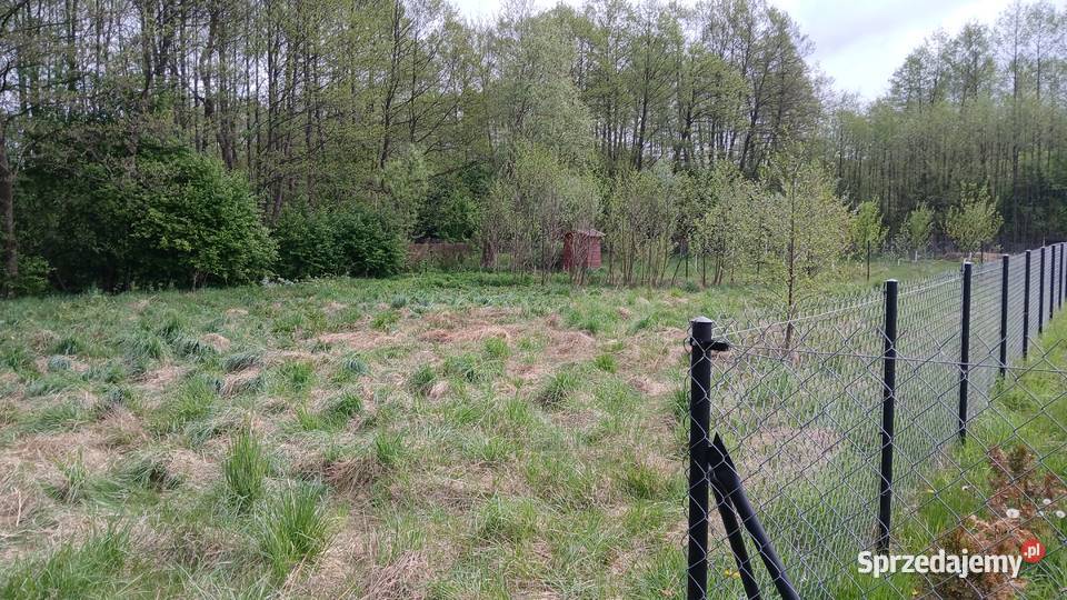 Sprzedam działkę 1000m2 Malużyn bezterm warunki Grunty i działki
