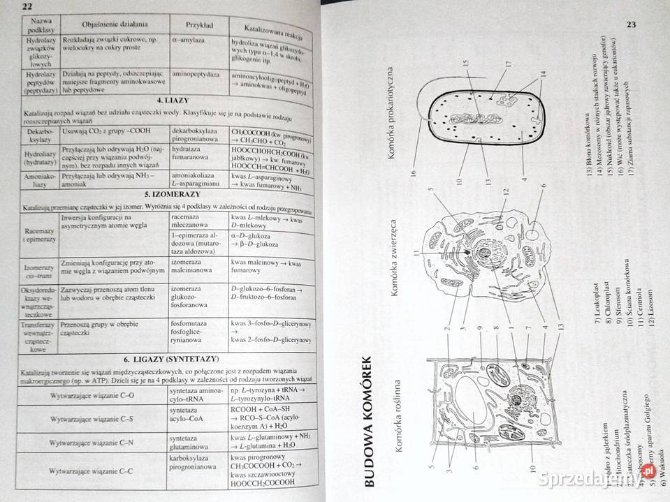Tablice biologiczne Beata Bednarczuk I Mizerska Chełm sprzedam