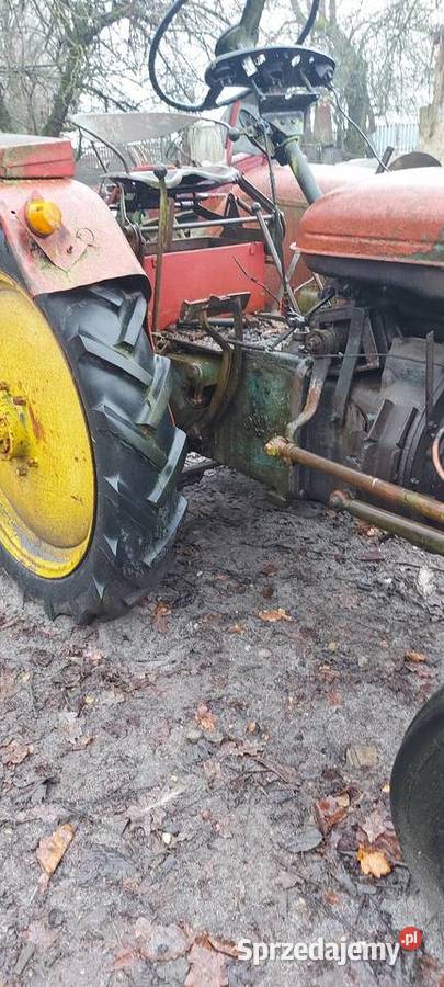 Zetor k 25 świętokrzyskie Mucharzew