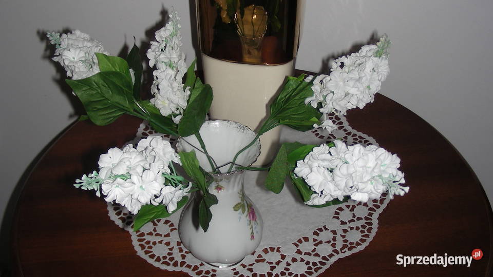 Aparat fotograficzny Nikon Coolpix S10 VR Radom