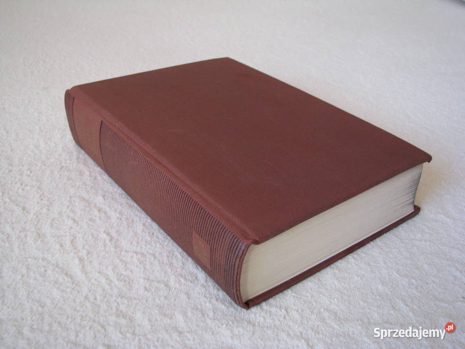 Mały Słownik Języka Polskiego PWN red Stanisław