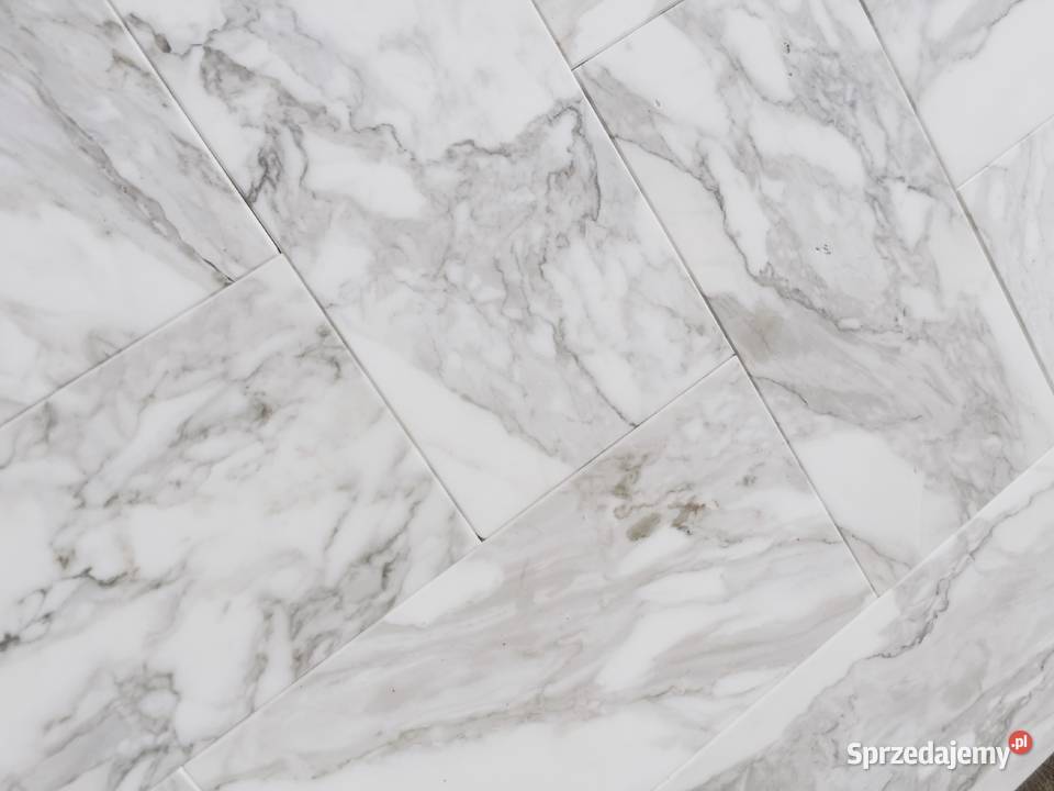 Marmur 152x305x1 Płytki Marmurowe Calacatta Poskwitów