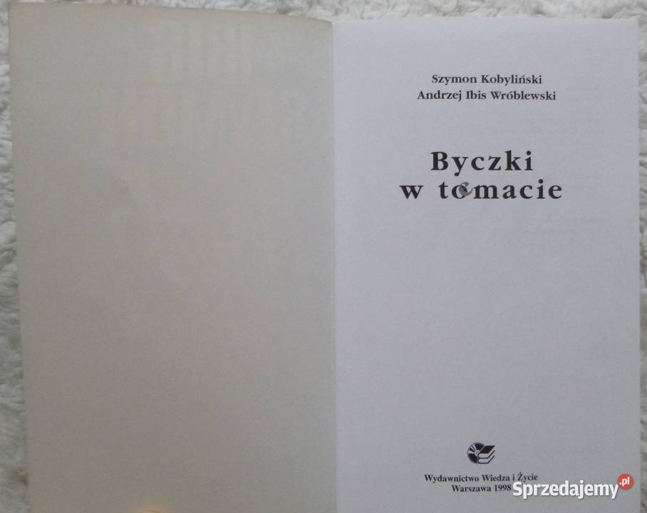 Byczki w temacie Szymon Kobyliński A Ibis Warszawa