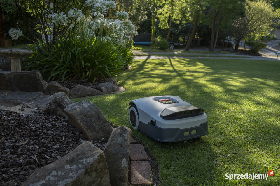 Robot koszący Anthbot serii Genie 800 1000 i Grabostów