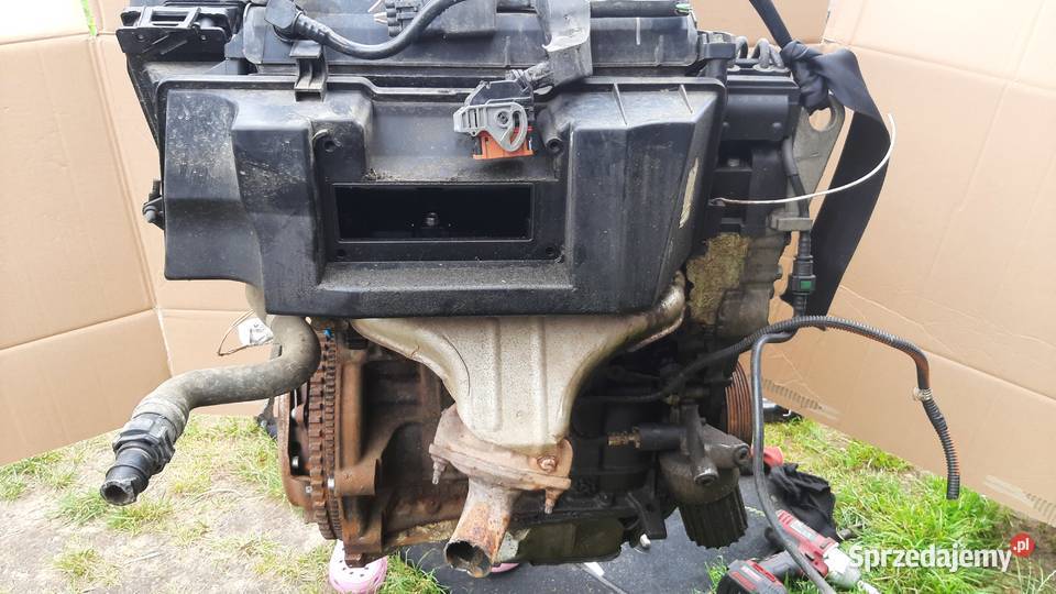 silnik kompletny Renault Dacia 12 D4FB712 dolnośląskie Dębno