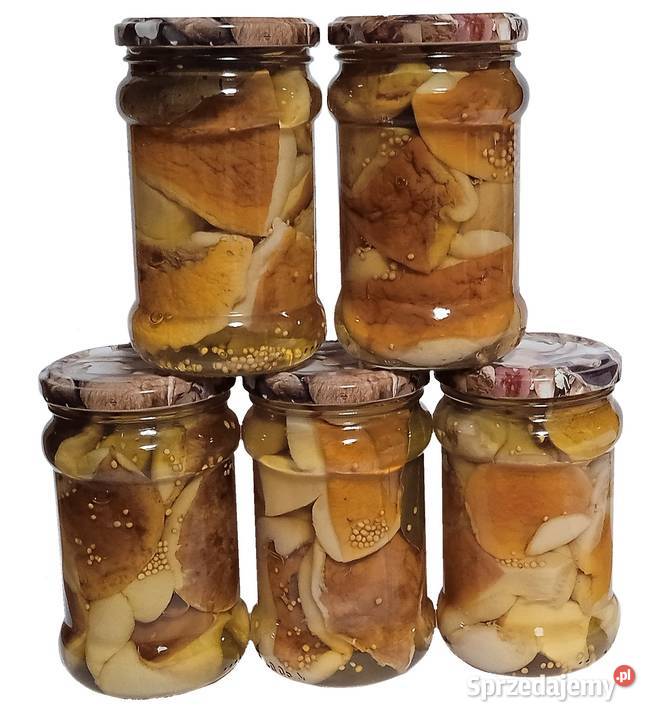 Borowik marynowany 315ml 2025 Elbląg sprzedam