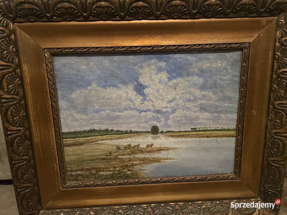 Stare Obrazu Warszawa