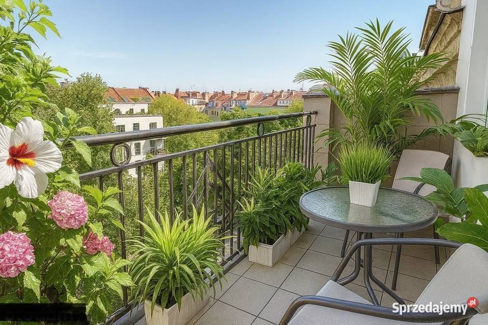 3pok 75met Nowowiejskiej ROZKŁADBALKONPIWNICA dolnośląskie Wrocław