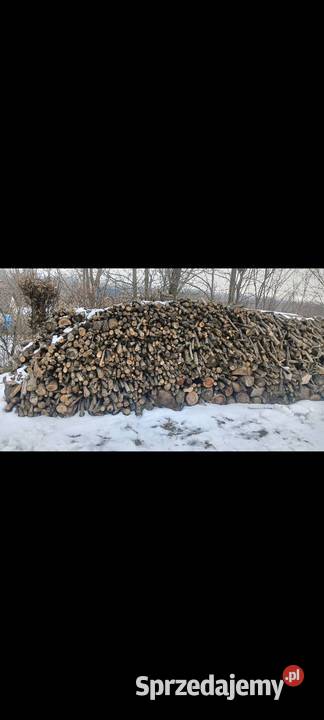 drewo Kazimierza Wielka sprzedam