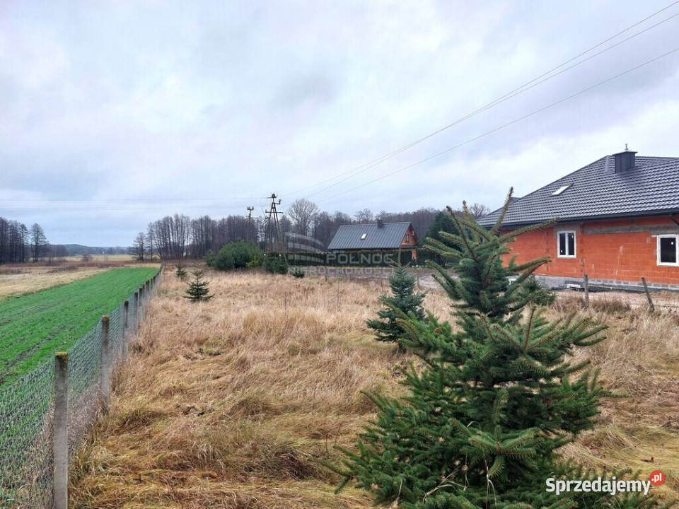 Działa budowlana Serpelice n Bugiem 14.5m Sprzedaż