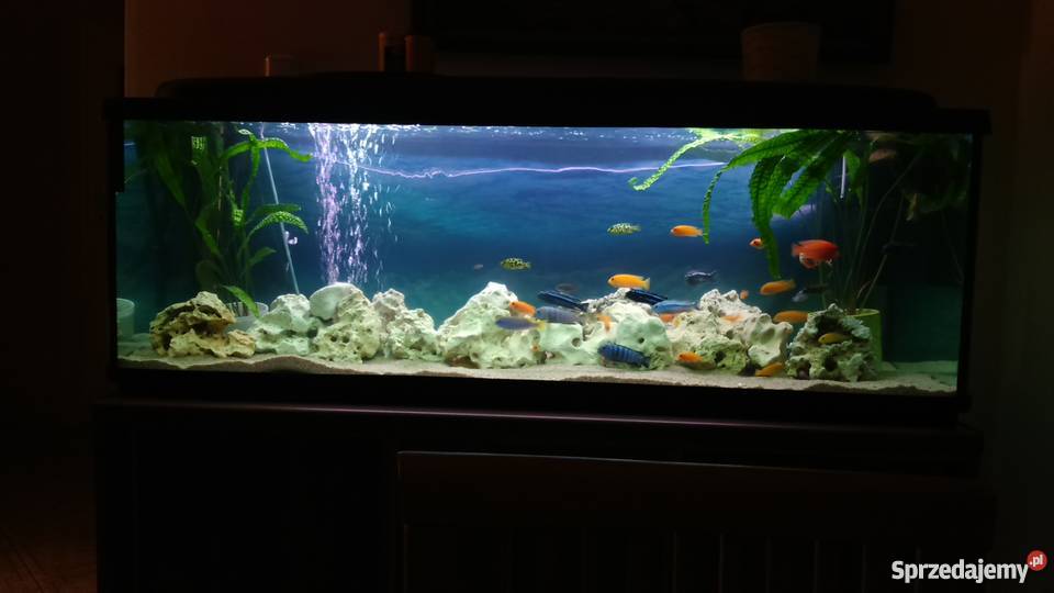 Sprzedam akwarium 375l