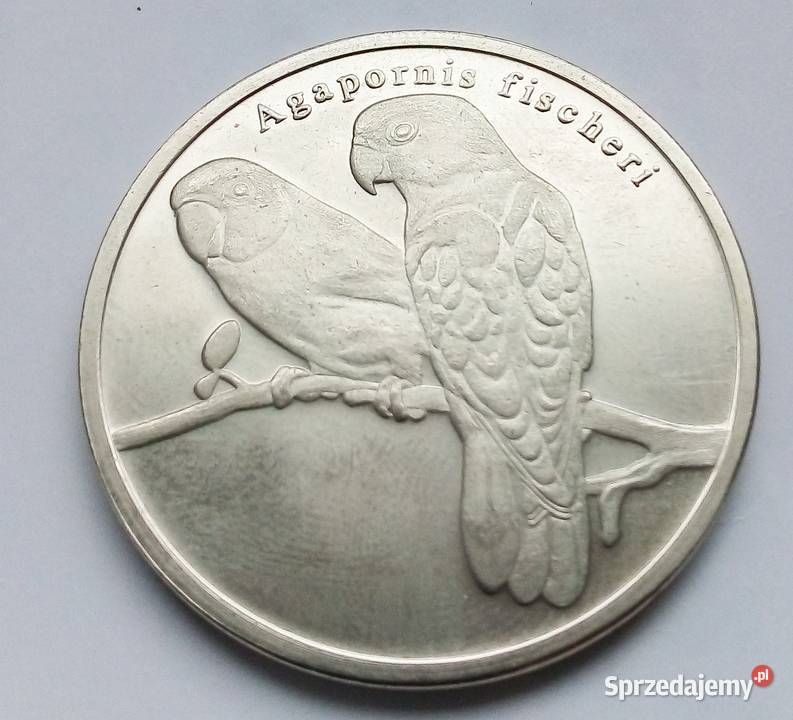 CISKEI RPA 5 RAND2018 rPAPUGI Legionowo