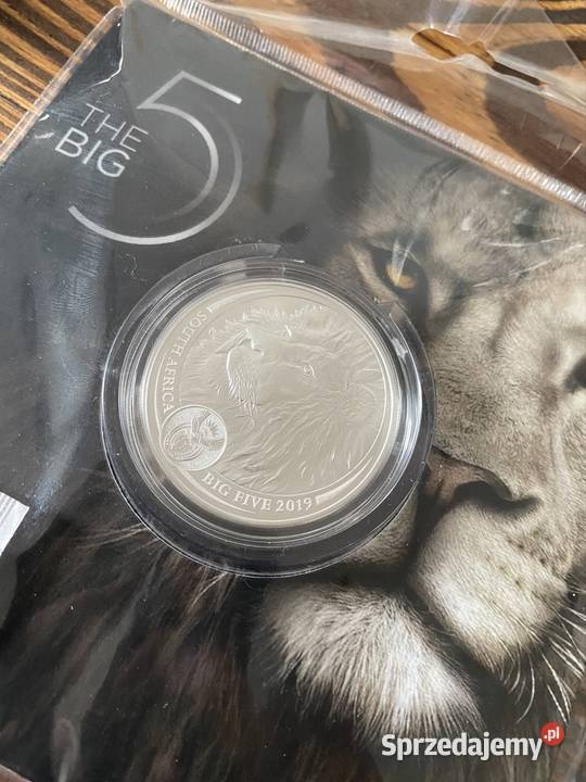 Big Five Lion Lew 2020 moneta inwestycyjna Gorzów Wielkopolski sprzedam