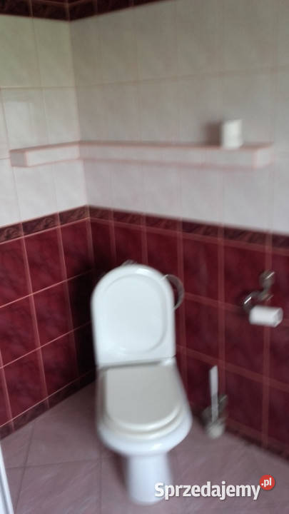 dom na wynajem Ostrów Wlkp 2 piętra Nieruchomości