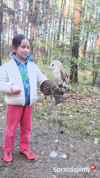 Roztocze Dziupla Pana Sowy Bondyrz