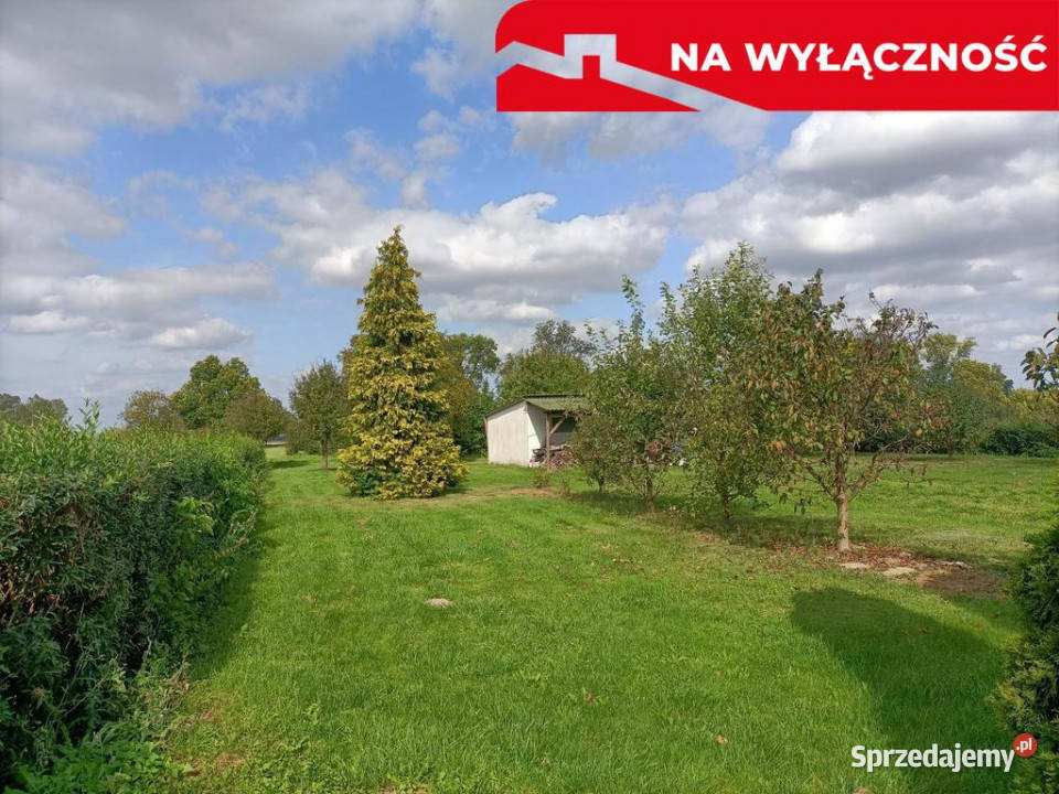 Działka 4017 m2 budowlana Leokadiów gm Puławy asfalt Sprzedaż