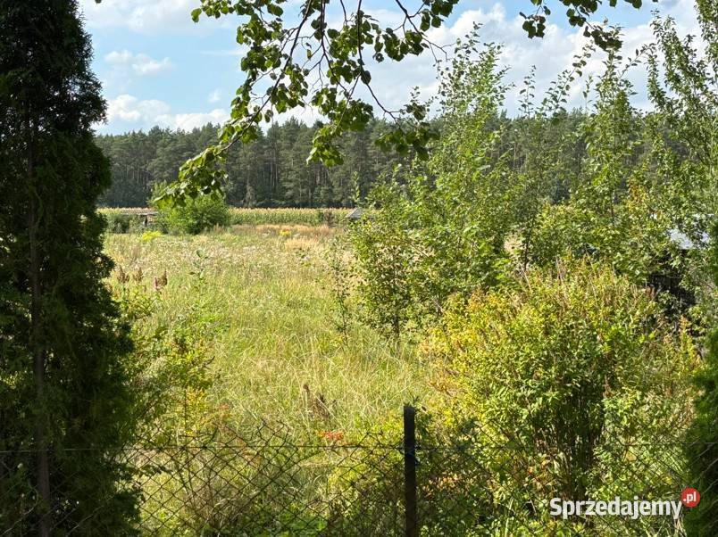 Ogródek działkowy 500 m2 w Trynosach 20 000 500m2 Trynosy-Osiedle