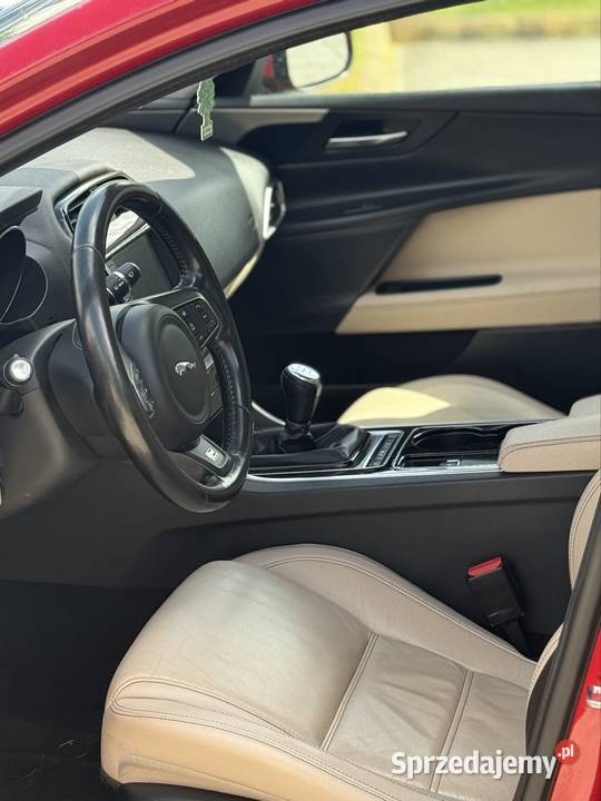 Jaguar xe nowy Nowy Sącz