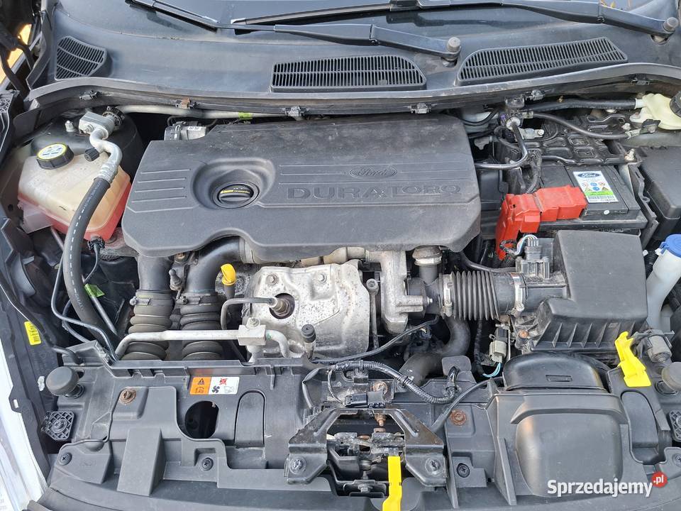 Ford Fiesta 2015 15tdci Navi Key Les PDC Świdwin sprzedam