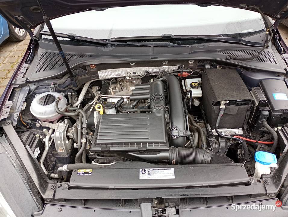 GOLF VII 14 TSI DSG Golf Piła