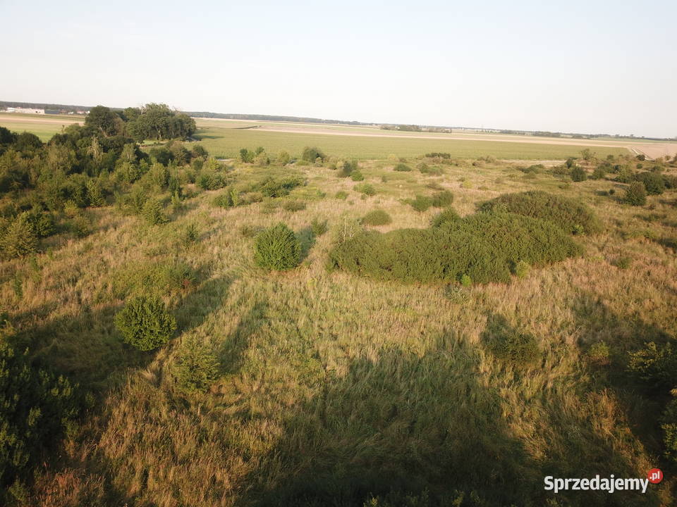 Działka Budowlana 45246 m2 Pod InwestycjęMEDIA dolnośląskie Źródła