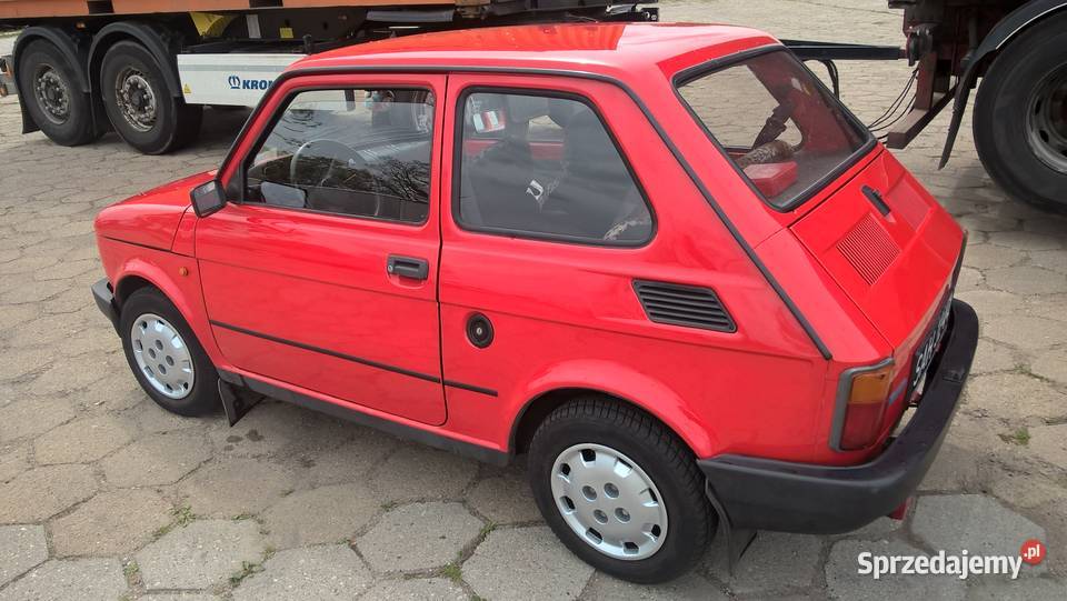 Czerwony maluszek łódzkie