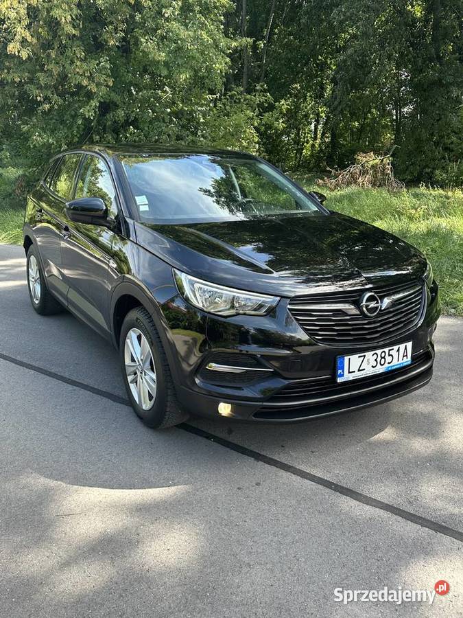 Opel Grandland X 16 120 Navi Ledy Grandland X lubelskie