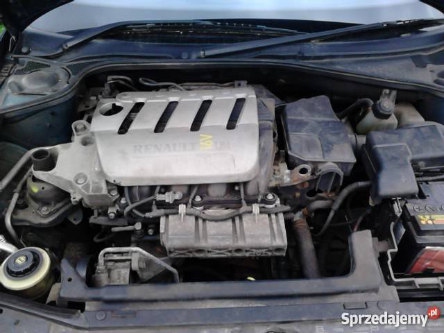 laguna 2 Anglik pali jeździ Sieradz