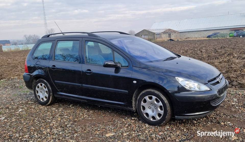 Peugeot 307 SW 2004 nieuszkodzony 307 SW Kraków