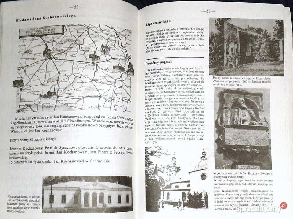 Język polski Zeszyt ćwiczeń kl 8 Elżbieta sprzedam