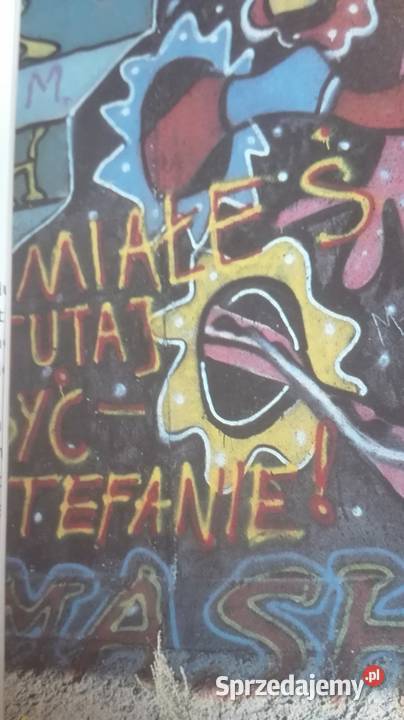 Beriner Mauerbilder GRAFFITI