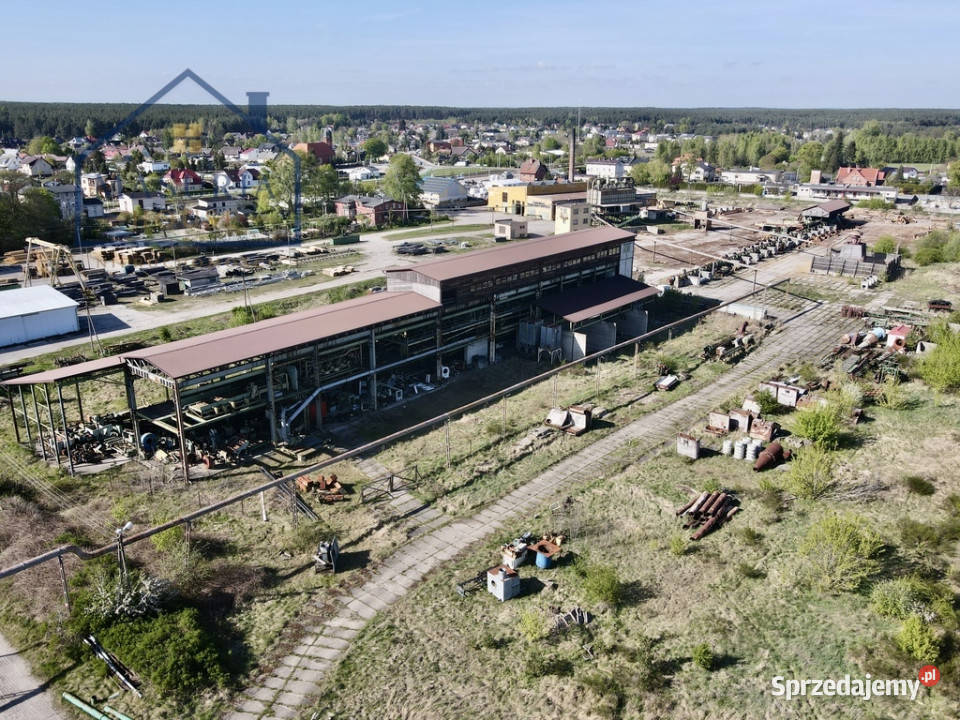 Tartak z niezbędnym zapleczem produkcyjnym na 10 Sprzedaż Kaliska sprzedam
