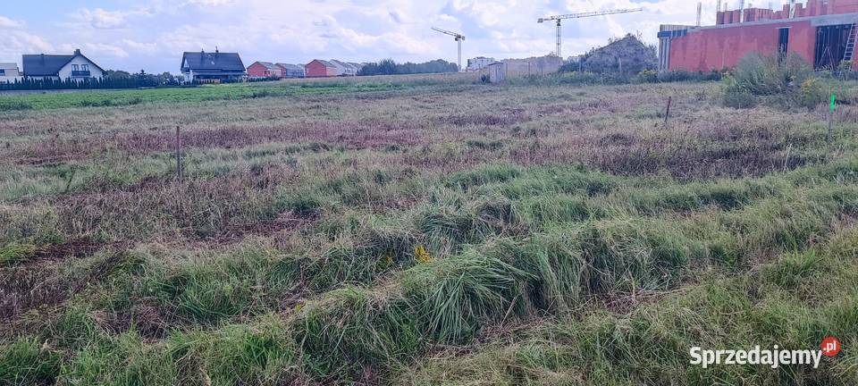Działki budowlane ok1000m2 MNU Falenty Nowe Sprzedaż mazowieckie