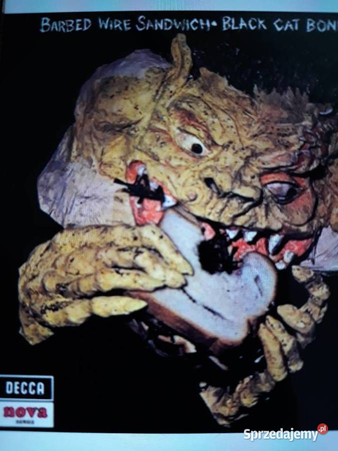 Archiwalne wykopaliska Hard Blues Rocka BLACK Płyty i kasety Rzeszów