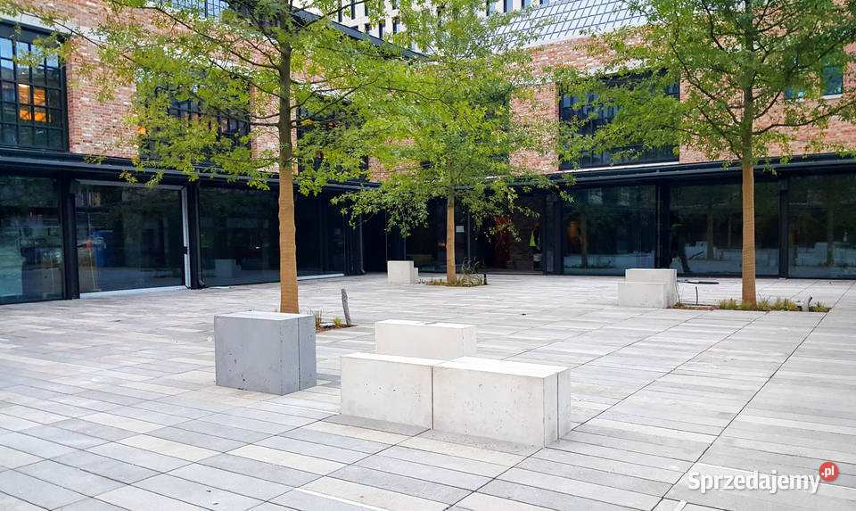 Płyta betonowa Deska 8x20x80 Świdnica