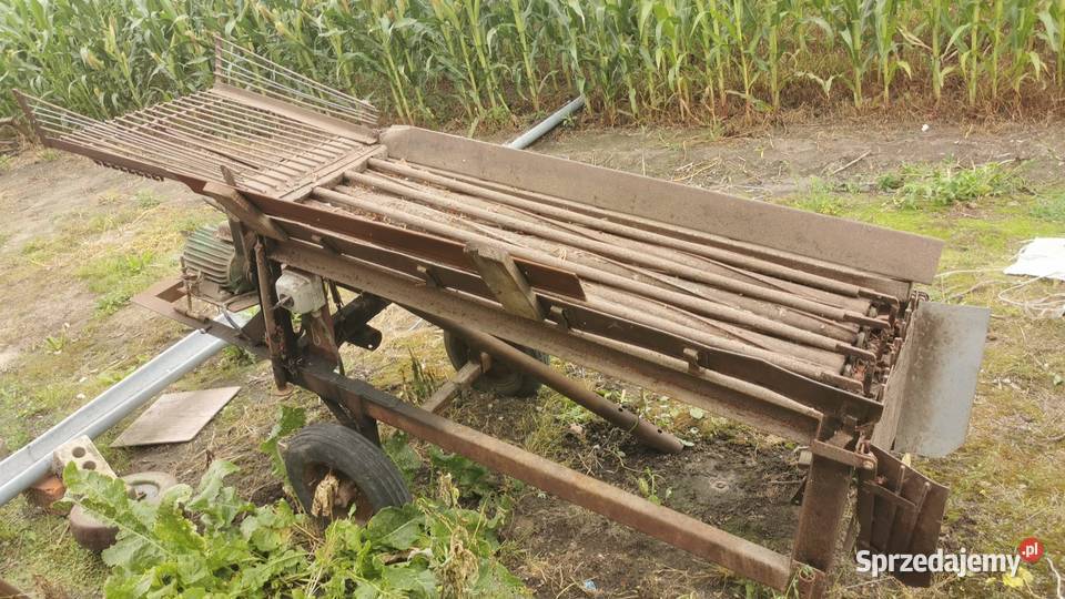 Obcinaczka wałkowa do cebuli kujawsko-pomorskie