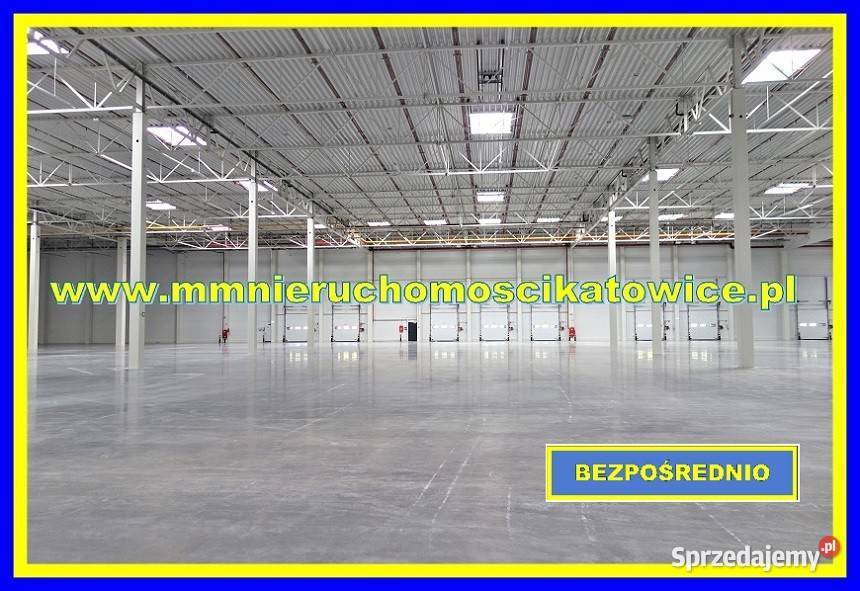 Centrum dystrybucyjne magazyny do wynajęcia