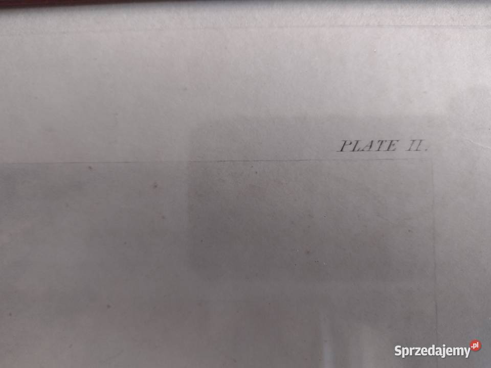 Litografia szkłem Foress Sporting Traps Going to Antyki kujawsko-pomorskie sprzedam