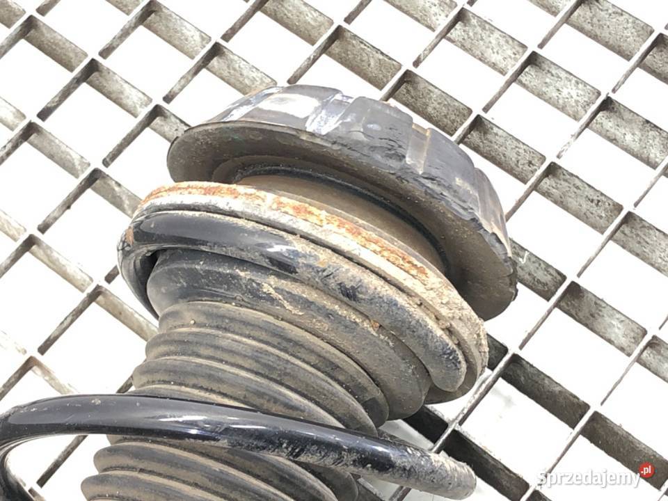 AMORTYZATOR LEWY PRZÓD SPRĘŻYNA SUZUKI BALENO 12 podkarpackie