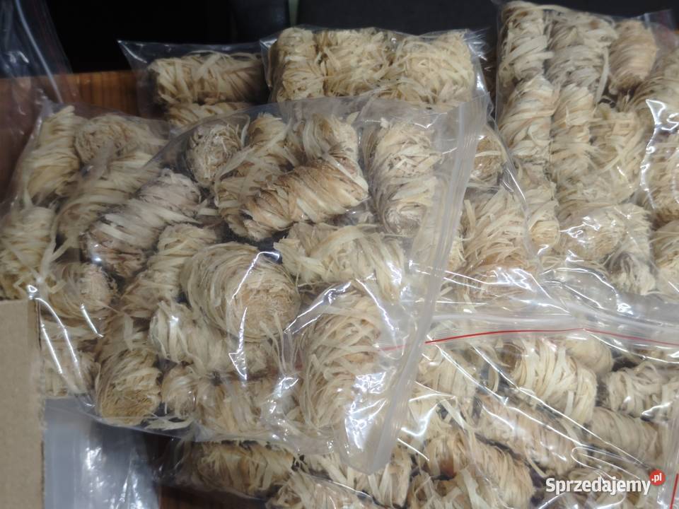 Rozpałka Ognisty Kokon Eko sprzedam