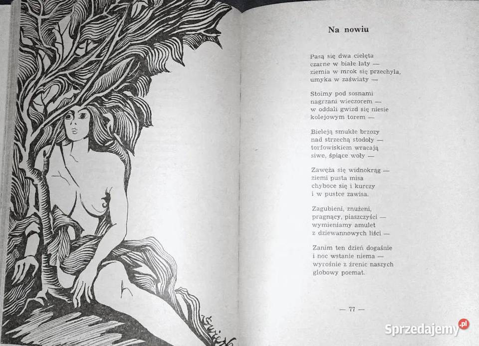 Wrzosy Emil Zegadłowicz Chełm