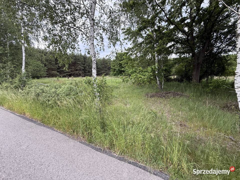DZIAŁKA BUDOWLANA 135 ha Cygany gmina Nowa Dęba 19zł/m2