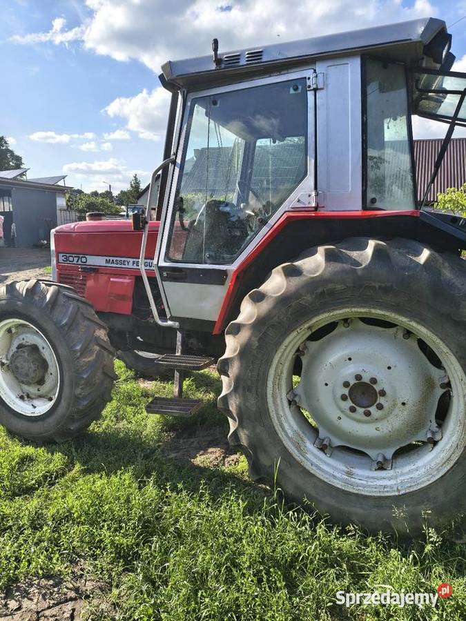 Massey Ferguson 3070 Uniejów